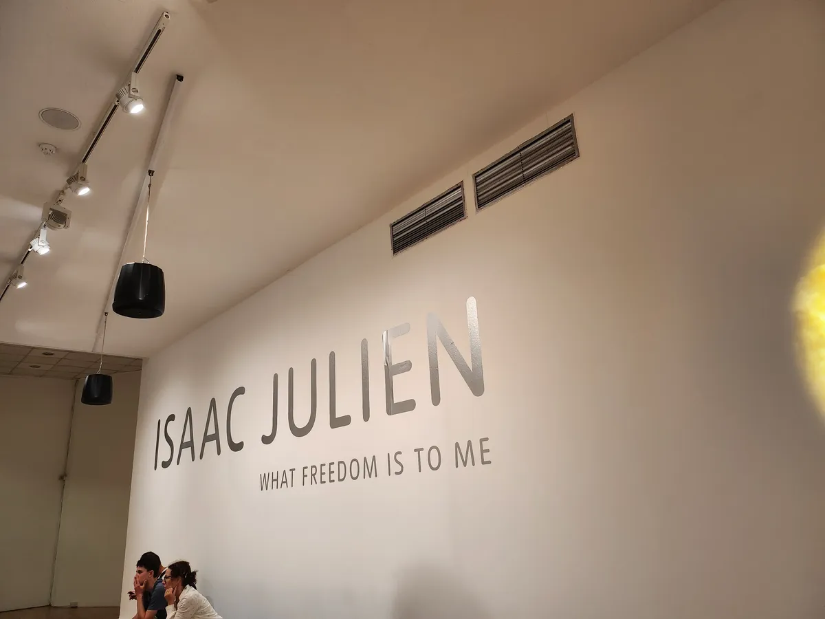 Isaac Julien Gallery Image 30